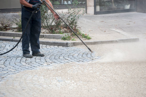 Animal Enclosure Cleaning in Benson, NC